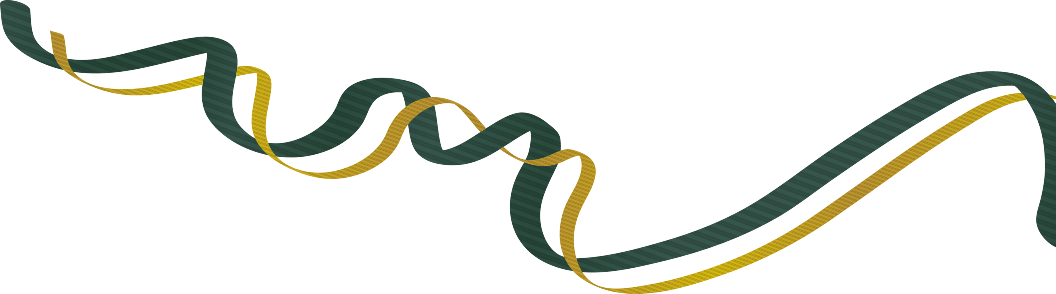 Brand Ribbon Double Section