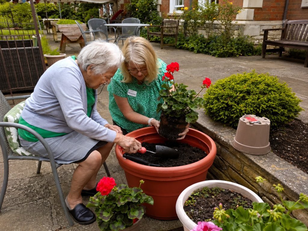 Generic Garden and Spaces