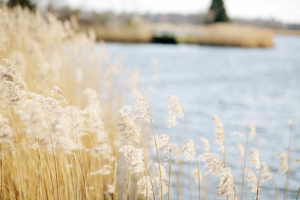 Broadlands Garden and Spaces
