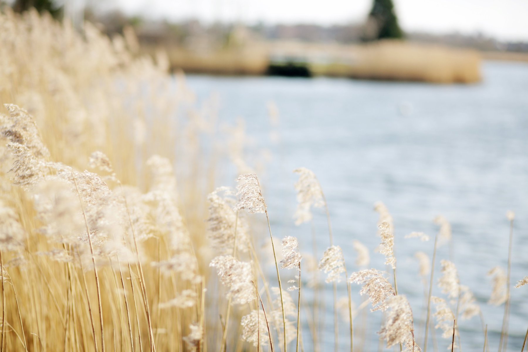 Broadlands Garden and Spaces