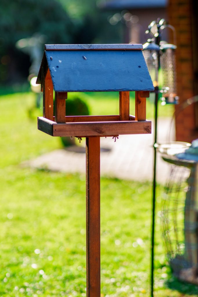 Speirs Garden and Spaces