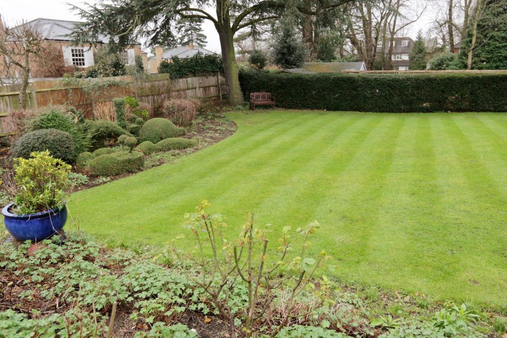 Speirs Garden and Spaces
