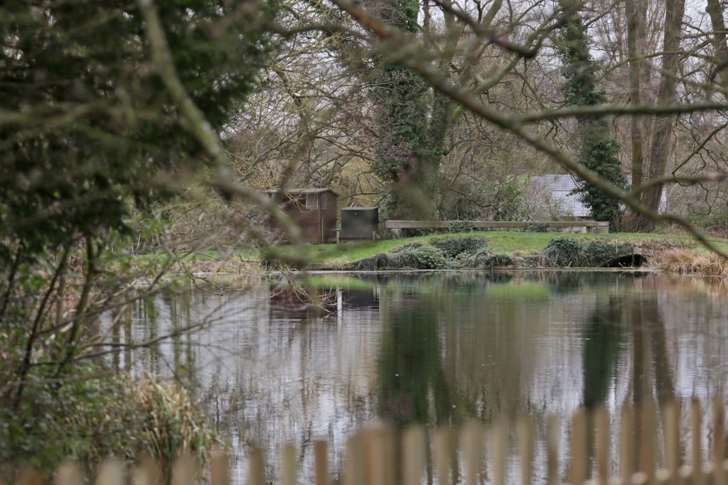 Sharnbrook Garden