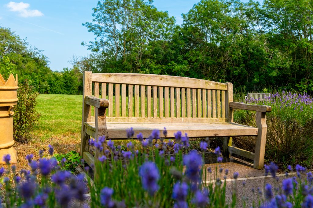Wooden garden bench with purple flowers in spring garden at Henley House in Ipswich